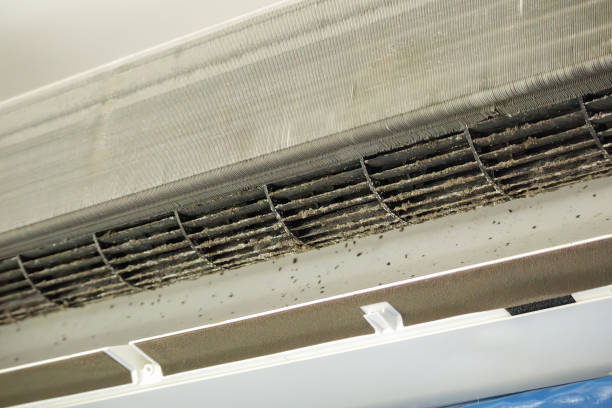 Best Local Air Duct Cleaning Services  in , DE